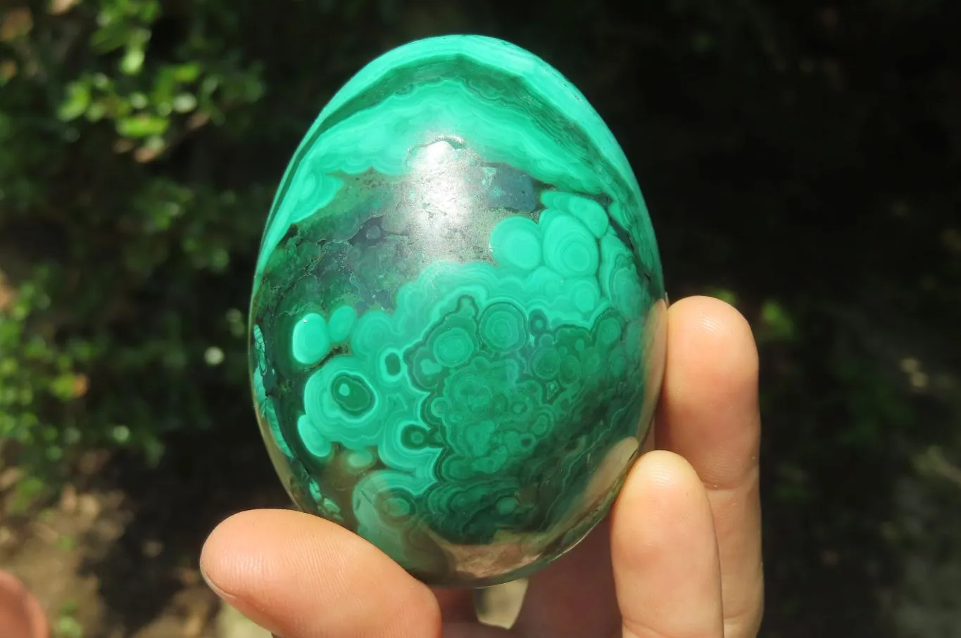 Polished Flower Banded Malachite Gemstone Eggs x 3 From Congo